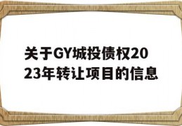 关于GY城投债权2023年转让项目的信息