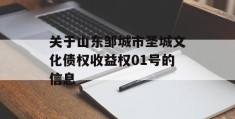 关于山东邹城市圣城文化债权收益权01号的信息