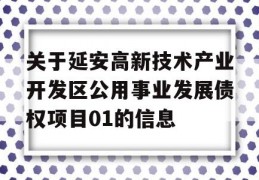 关于延安高新技术产业开发区公用事业发展债权项目01的信息