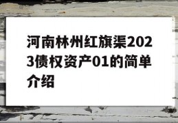 河南林州红旗渠2023债权资产01的简单介绍