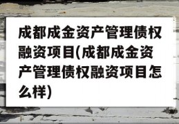 成都成金资产管理债权融资项目(成都成金资产管理债权融资项目怎么样)