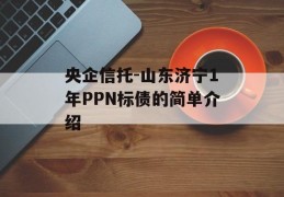 央企信托-山东济宁1年PPN标债的简单介绍