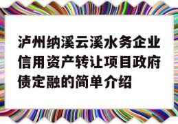 泸州纳溪云溪水务企业信用资产转让项目政府债定融的简单介绍