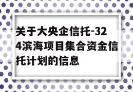 关于大央企信托-324滨海项目集合资金信托计划的信息