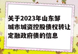 关于2023年山东邹城市城资控股债权转让定融政府债的信息