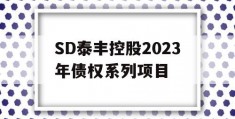 SD泰丰控股2023年债权系列项目