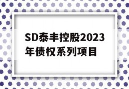 SD泰丰控股2023年债权系列项目