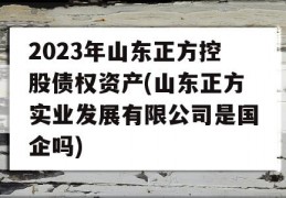 2023年山东正方控股债权资产(山东正方实业发展有限公司是国企吗)