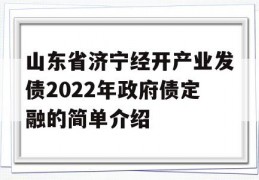 山东省济宁经开产业发债2022年政府债定融的简单介绍