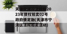 天津宁河投资控股2023年债权拍卖02号政府债定融(天津市宁河区法院拍卖活动)