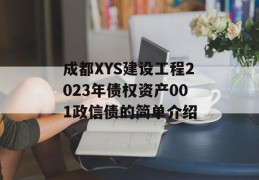 成都XYS建设工程2023年债权资产001政信债的简单介绍