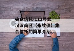 央企信托-111号武汉汉南区（永续债）集合信托的简单介绍