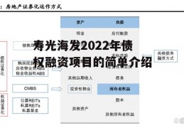 寿光海发2022年债权融资项目的简单介绍