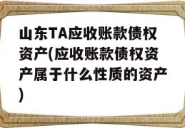 山东TA应收账款债权资产(应收账款债权资产属于什么性质的资产)