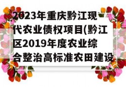 2023年重庆黔江现代农业债权项目(黔江区2019年度农业综合整治高标准农田建设)