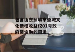 包含山东邹城市圣城文化债权收益权01号政府债定融的词条