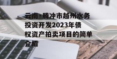 云南·腾冲市越州水务投资开发2023年债权资产拍卖项目的简单介绍