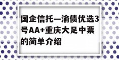 国企信托—渝债优选3号AA+重庆大足中票的简单介绍