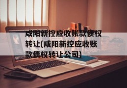 咸阳新控应收账款债权转让(咸阳新控应收账款债权转让公司)