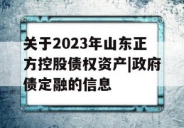 关于2023年山东正方控股债权资产|政府债定融的信息