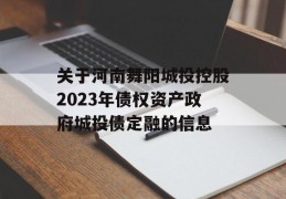 关于河南舞阳城投控股2023年债权资产政府城投债定融的信息