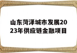 山东菏泽城市发展2023年供应链金融项目