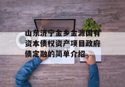 山东济宁金乡金源国有资本债权资产项目政府债定融的简单介绍