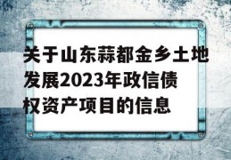 关于山东蒜都金乡土地发展2023年政信债权资产项目的信息