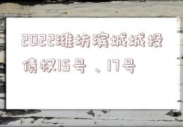 2022潍坊滨城城投债权15号、17号
