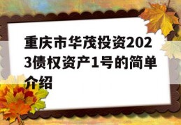 重庆市华茂投资2023债权资产1号的简单介绍