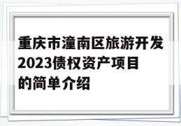 重庆市潼南区旅游开发2023债权资产项目的简单介绍