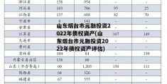 山东烟台市元融投资2022年债权资产(山东烟台市元融投资2022年债权资产评估)