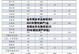 山东烟台市元融投资2022年债权资产(山东烟台市元融投资2022年债权资产评估)