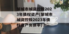 邹城市城资控股2023年债权资产(邹城市城资控股2023年债权资产负债率)