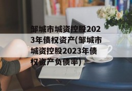 邹城市城资控股2023年债权资产(邹城市城资控股2023年债权资产负债率)