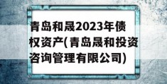 青岛和晟2023年债权资产(青岛晟和投资咨询管理有限公司)