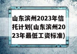 山东滨州2023年信托计划(山东滨州2023年最低工资标准)