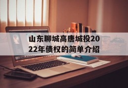 山东聊城高唐城投2022年债权的简单介绍