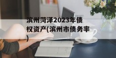 滨州菏泽2023年债权资产(滨州市债务率)