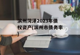 滨州菏泽2023年债权资产(滨州市债务率)