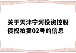 关于天津宁河投资控股债权拍卖02号的信息