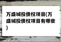 万盛城投债权项目(万盛城投债权项目有哪些)