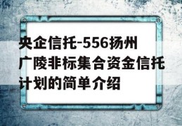 央企信托-556扬州广陵非标集合资金信托计划的简单介绍