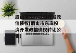 眉山市东岸投资开发政信债权(眉山市东岸投资开发政信债权转让公告)