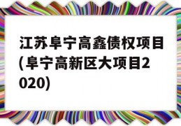 江苏阜宁高鑫债权项目(阜宁高新区大项目2020)