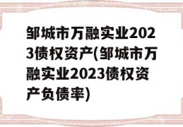 邹城市万融实业2023债权资产(邹城市万融实业2023债权资产负债率)