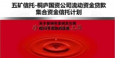 关于邹城市圣城文化债权01号定融的信息