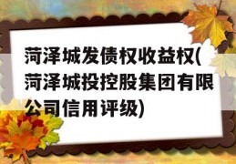 菏泽城发债权收益权(菏泽城投控股集团有限公司信用评级)