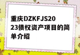 重庆DZKFJS2023债权资产项目的简单介绍