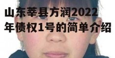 山东莘县方润2022年债权1号的简单介绍